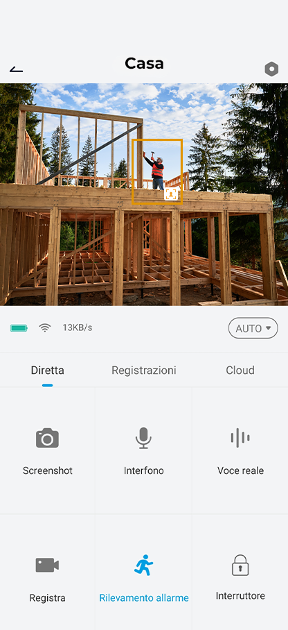 Rilevamento AI in Cloud
